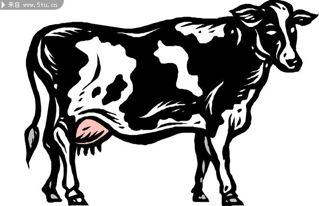 手繪奶牛矢量圖 家禽家畜素材的藝術與實用價值